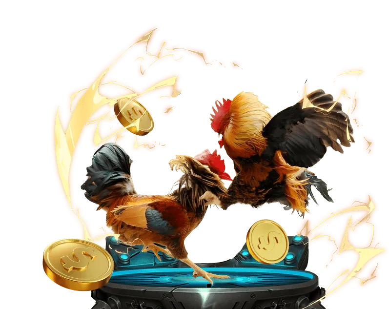 Các bước chơi Baccarat trực tuyến tại nk88 net